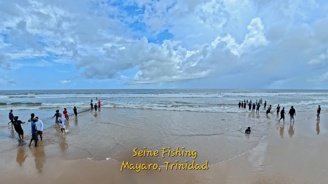 Seine Fishing in Trinidad!