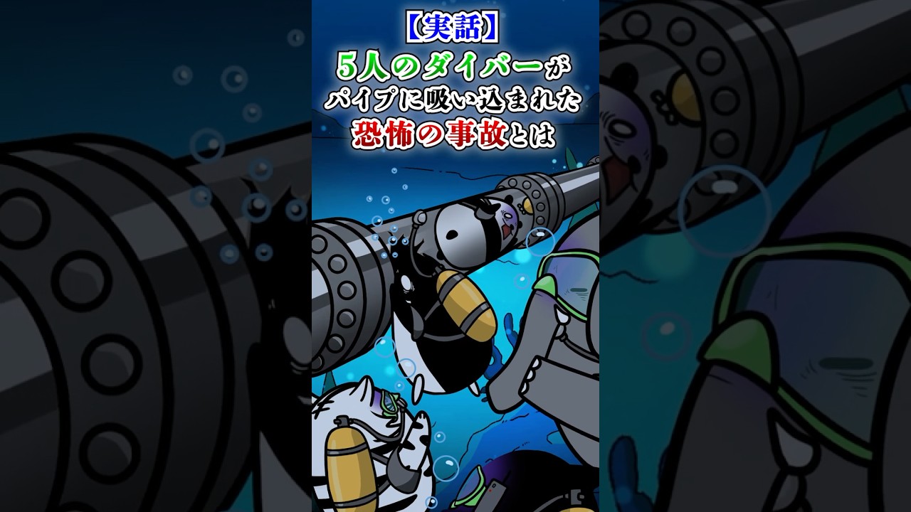 【実話】5人のダイバーがパイプに吸い込まれた恐怖の事故とは【アニメ】#テイペン #Plottアニメ