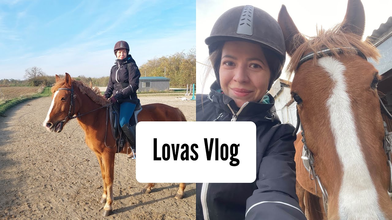 Gyertek velem a lovardába egy edzésre 🐴