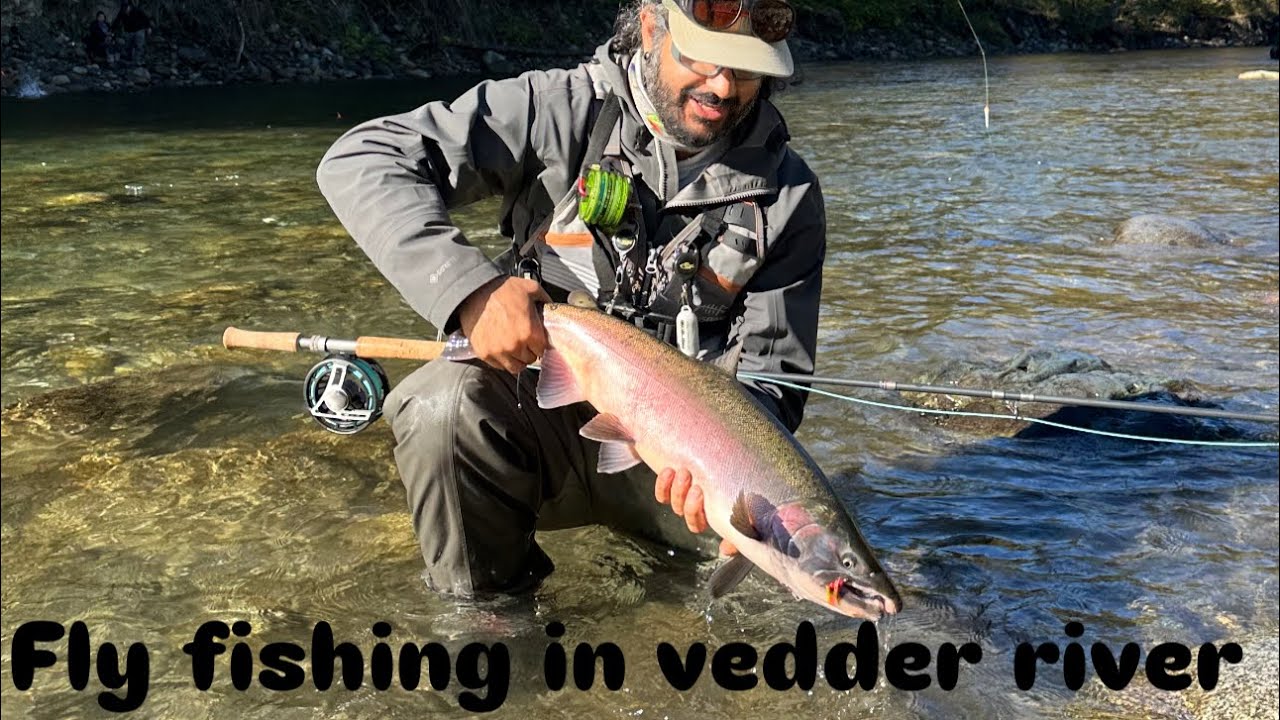 Fly fishing in vedder river chilliwack bc for salmon