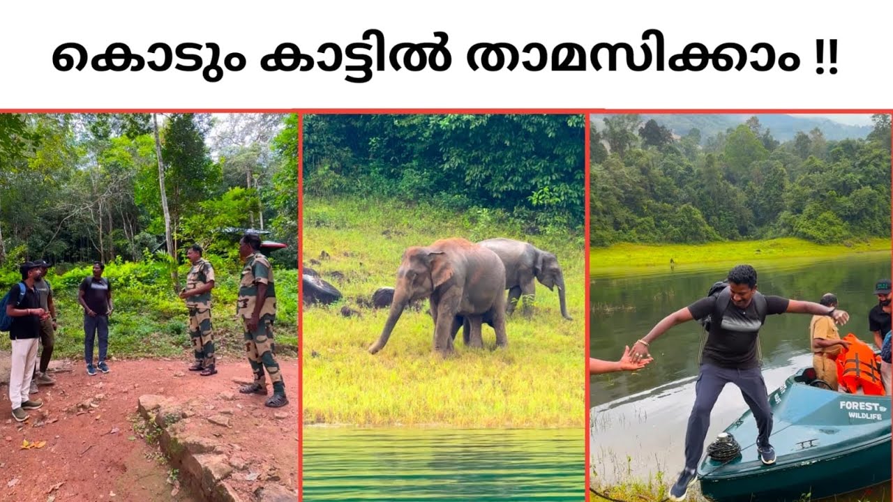 Forest Tour | Thenmala 