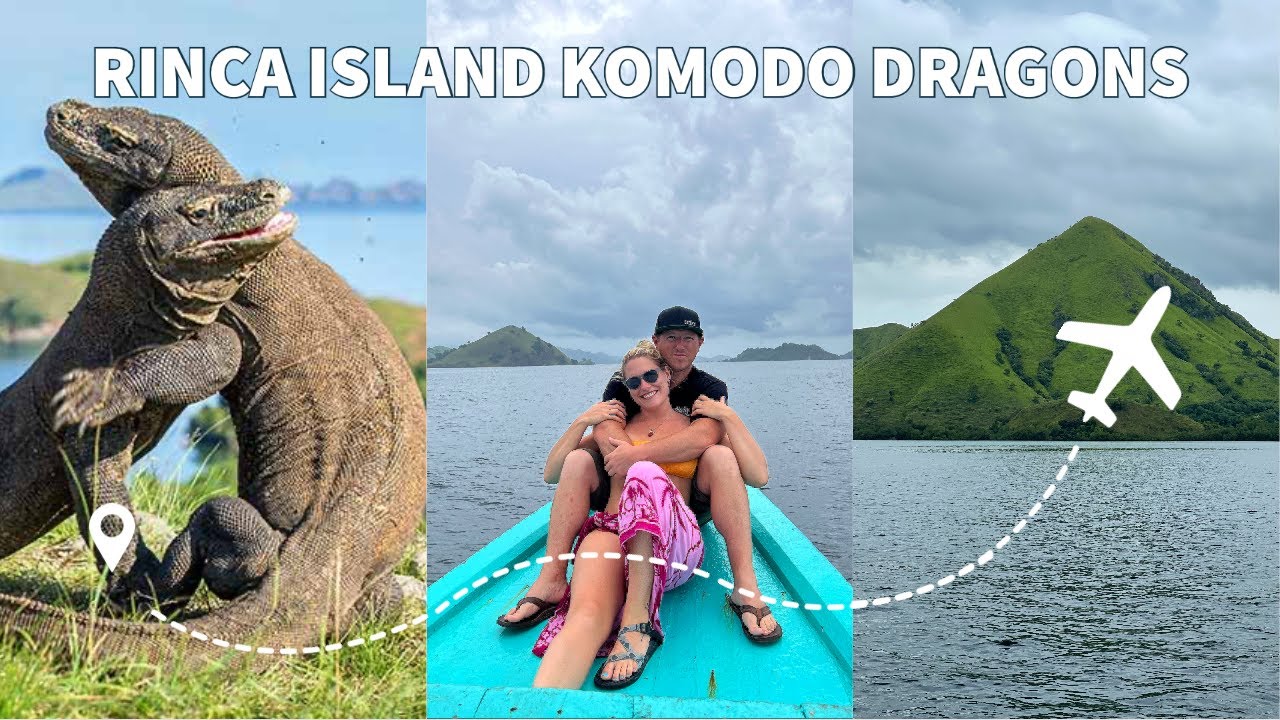 Our experience at Rinca Island, Indonesia