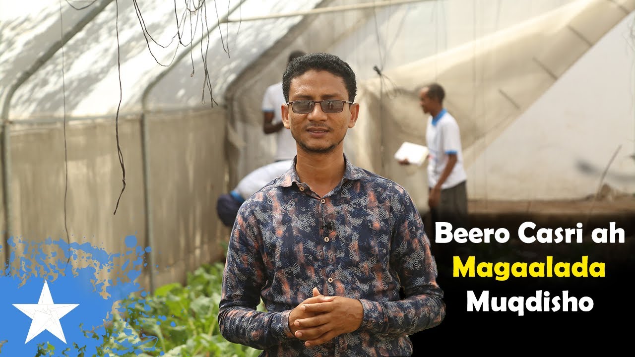 Waxan Booqday BEER Casri ah oo Muqdisho Lagu beeray | Drip irrigation system In Somalia