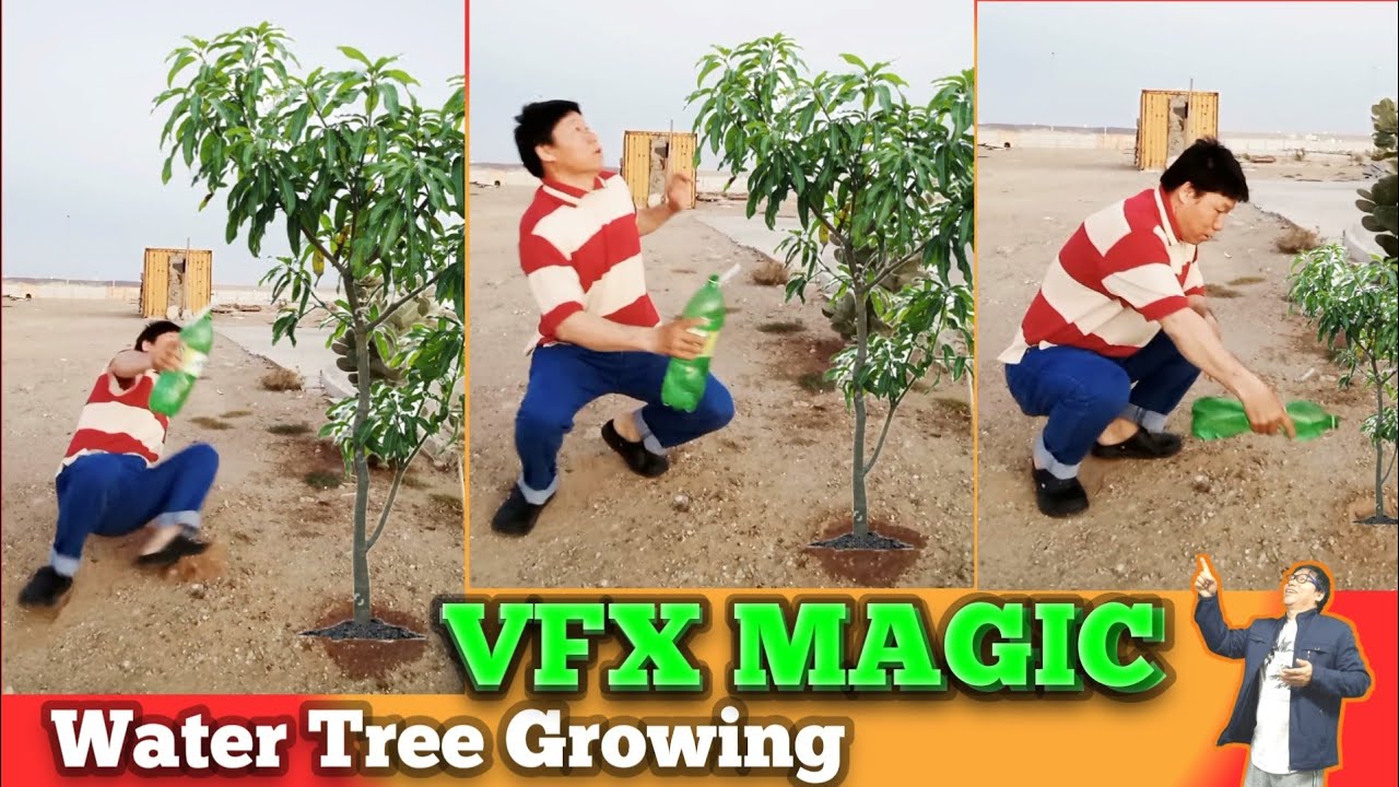 Water Tree Growing Vfx Magic | CapCut Tutorial | Pcr Editor