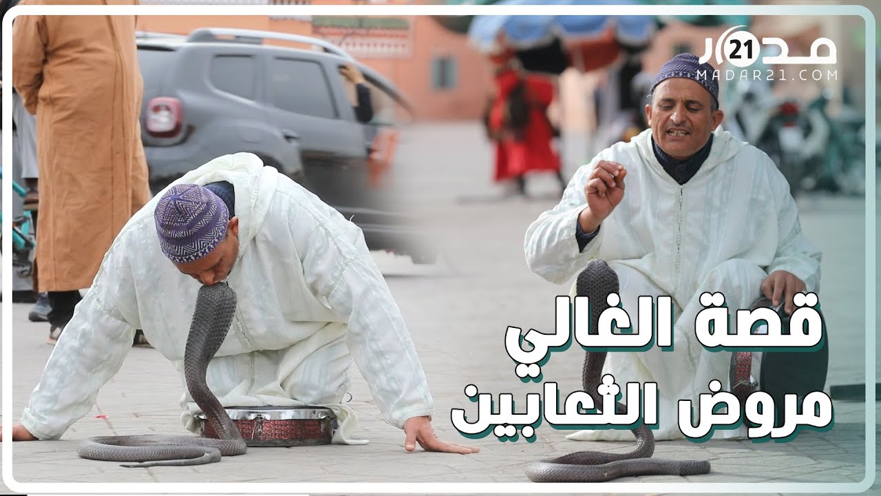 الغالي.. مغربي يصنع الفرجة بجامع الفنا بترويض الثعابين لمدة تتجاوز 31 عاما