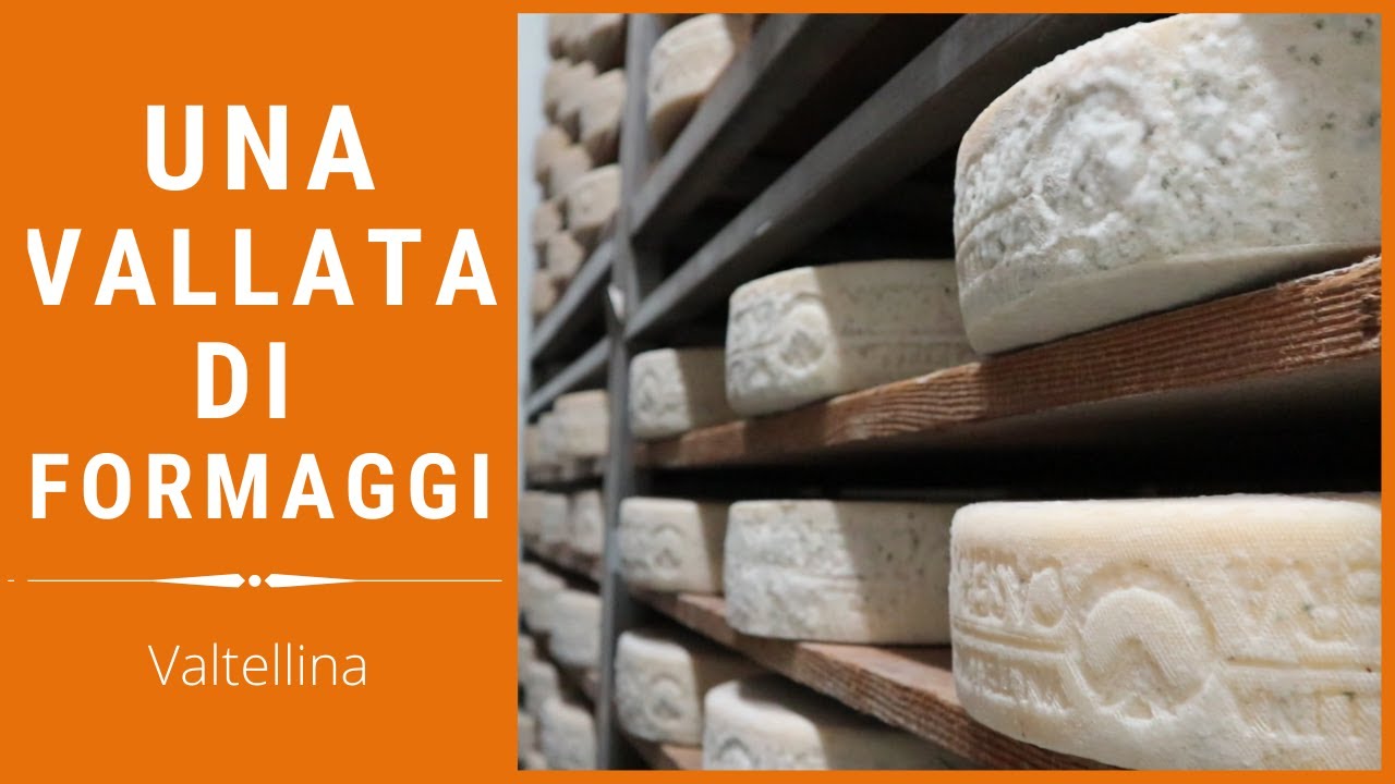 FORMAGGI DI VALTELLINA, come si fanno e la degustazione - Ep. 03