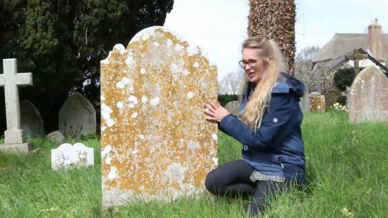 Lichens with April Windle - 2/3