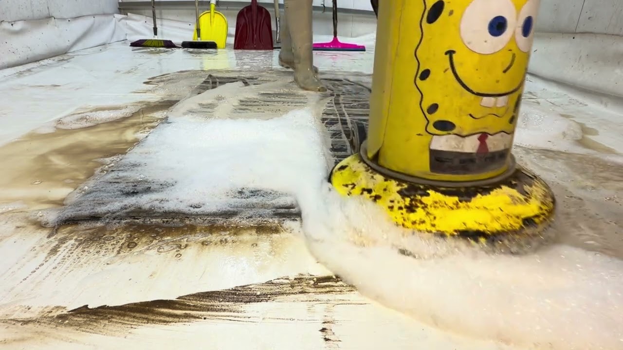 This Rug Was Buried Under Thick Mud | Most Satisfying ASMR Cleaning Transformation