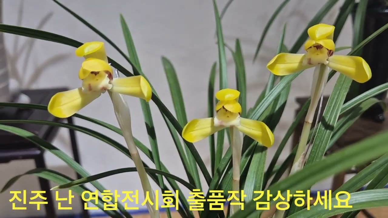 2026년 2월 21일
