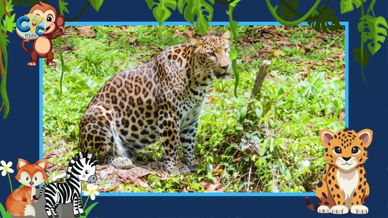 🦁🌿 The Fiercest Animals of the Forest | God’s Amazing Creation 🐺🐍 #animals #forestanimals