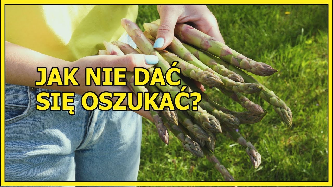 Region: Praca sezonowa za granicą bywa niebezpieczna
