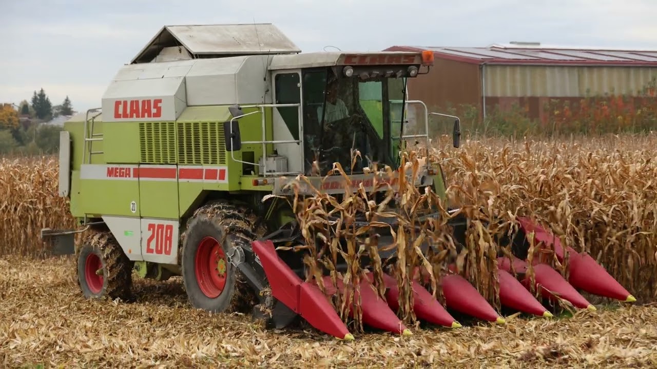 Erntetour 2024 (12.10.2024) - Purer Sound des Dominator und Lexion im 2ten Maisfeld 🔥