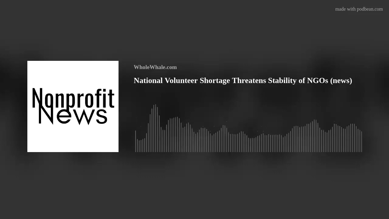 National Volunteer Shortage Threatens Stability of NGOs (news)