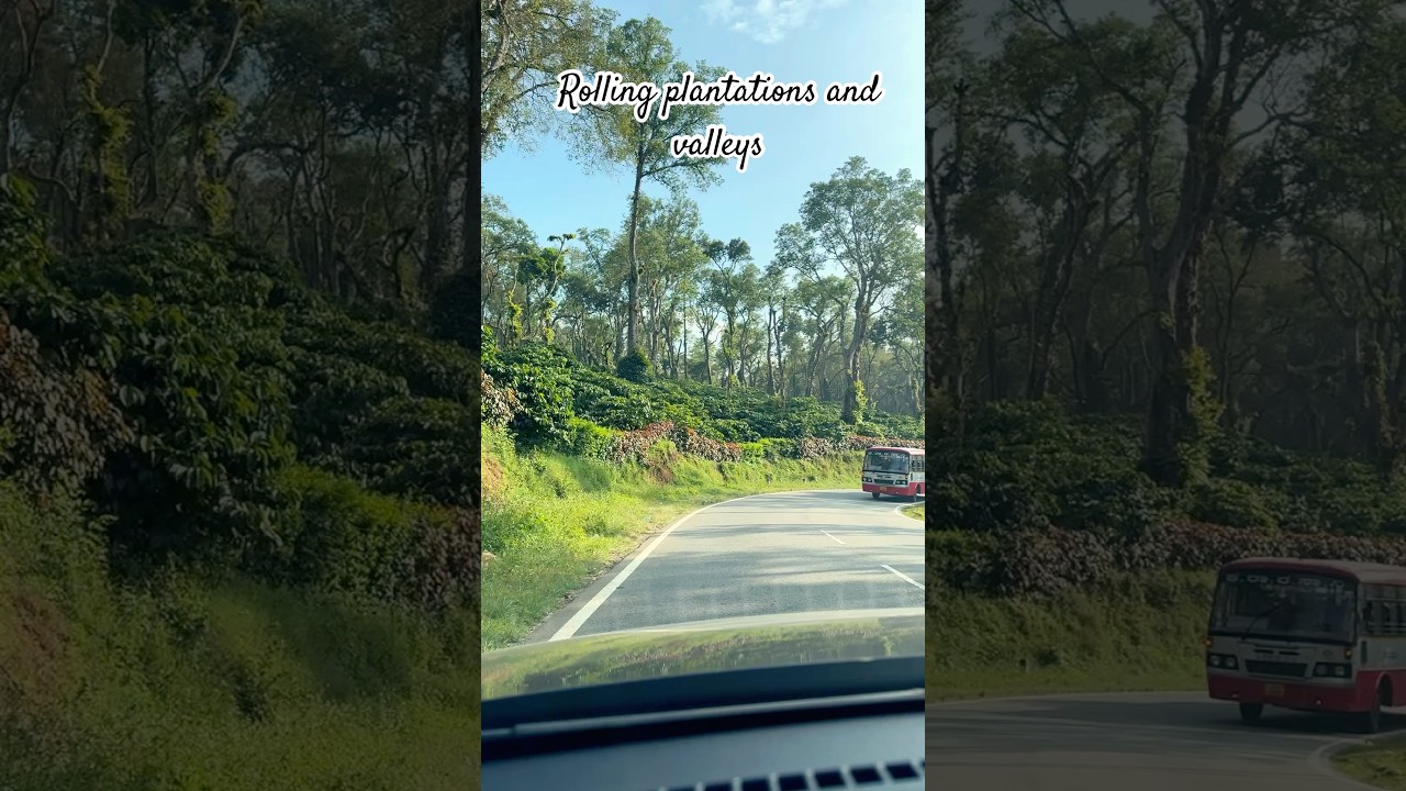 On the way to Scotland of India 🥰🍀🌴🌿🏞️. 