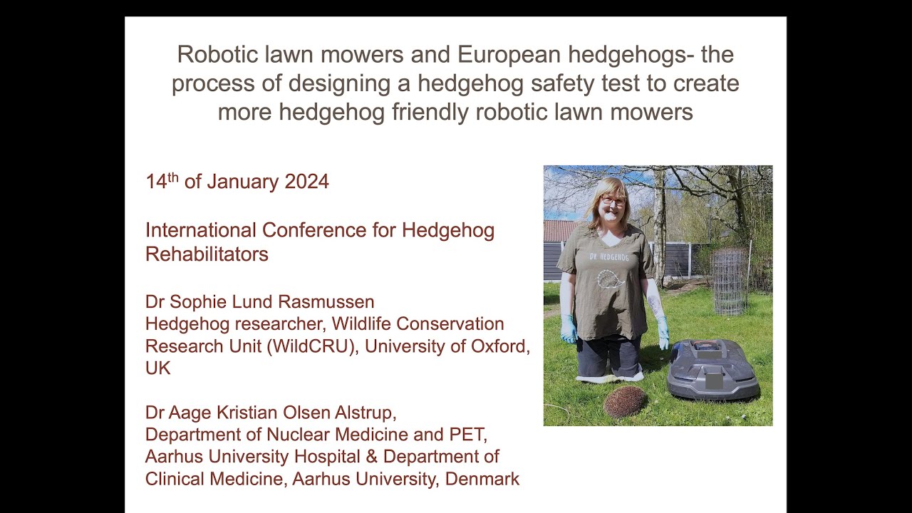Lecture about our research on hedgehogs and robotic lawn mowers January 2024