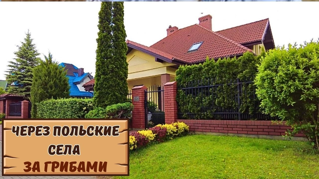 🚗Поездка за грибами по живописным 🏡ПОЛЬСКИМ СЕЛАМ🍁