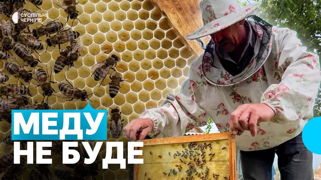 Пасічник із прикордоння розповів, чому цьогоріч може не бути весняного меду на Семенівщині