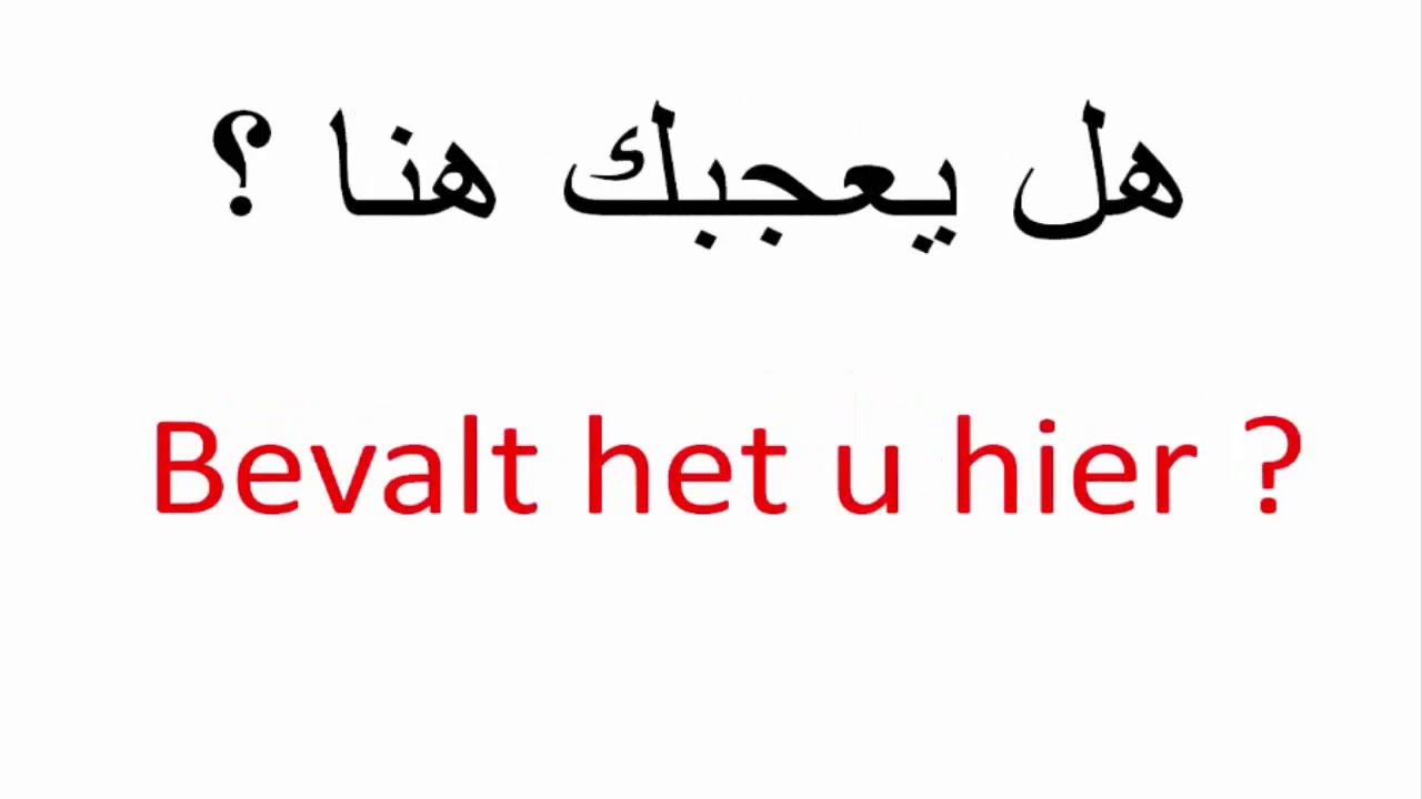 تعلم الهولندية  A1  الأعداد و الأشهر و أيام الأسبوع