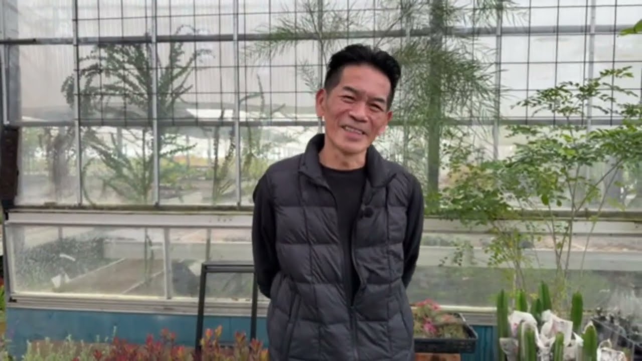 2/3 市場仕入れ即売会　販売時間等はライブで説明します。
