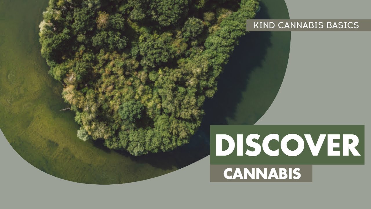 Understanding Medicinal Cannabis 101 - Kind Cannabis Basics