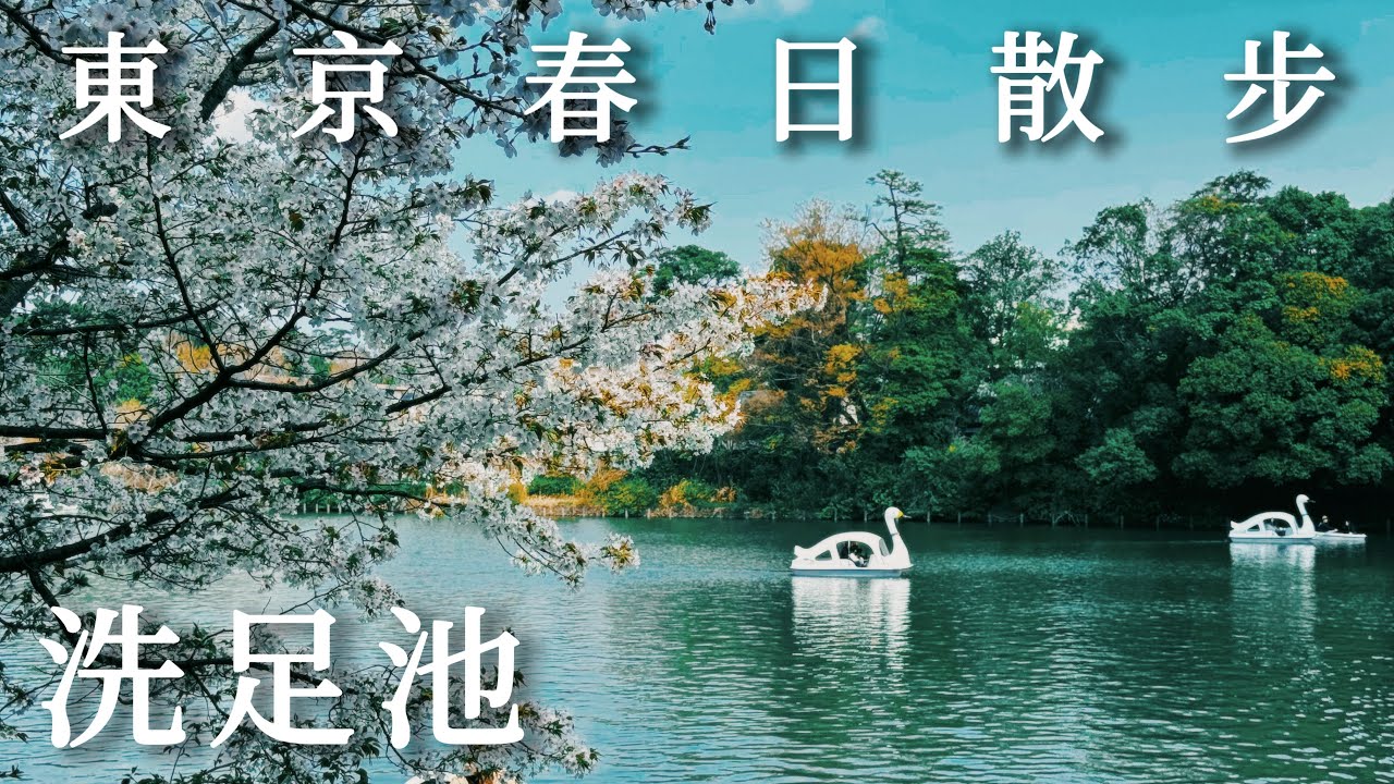洗足池｜東京的綠洲 從江戶時代就是知名勝地｜滿山櫻花盛開 熱鬧非凡的一天｜口感獨特的法式薄餅、商店街二樓的咖啡店｜日本旅遊、Satori日本生活