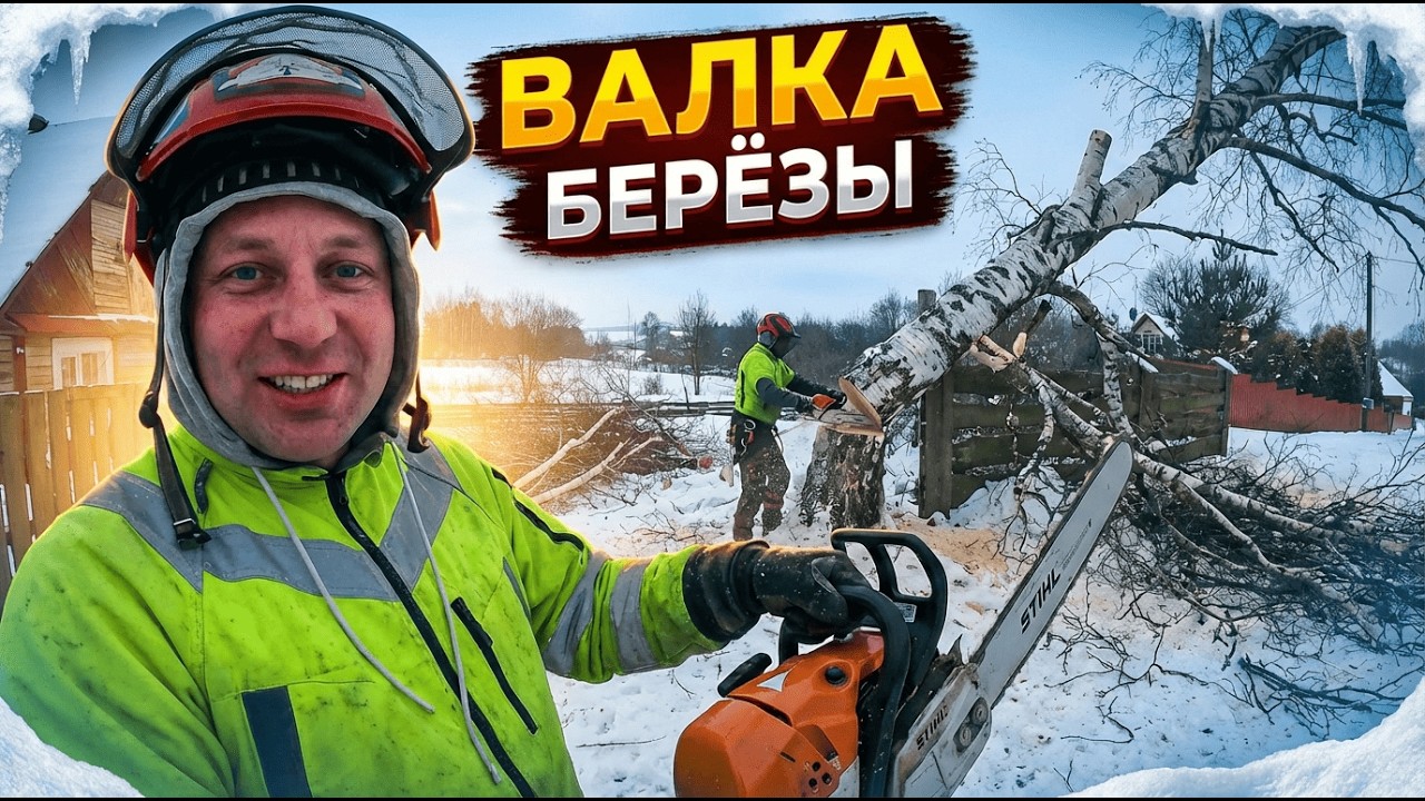 Удаление берёзы арбористом