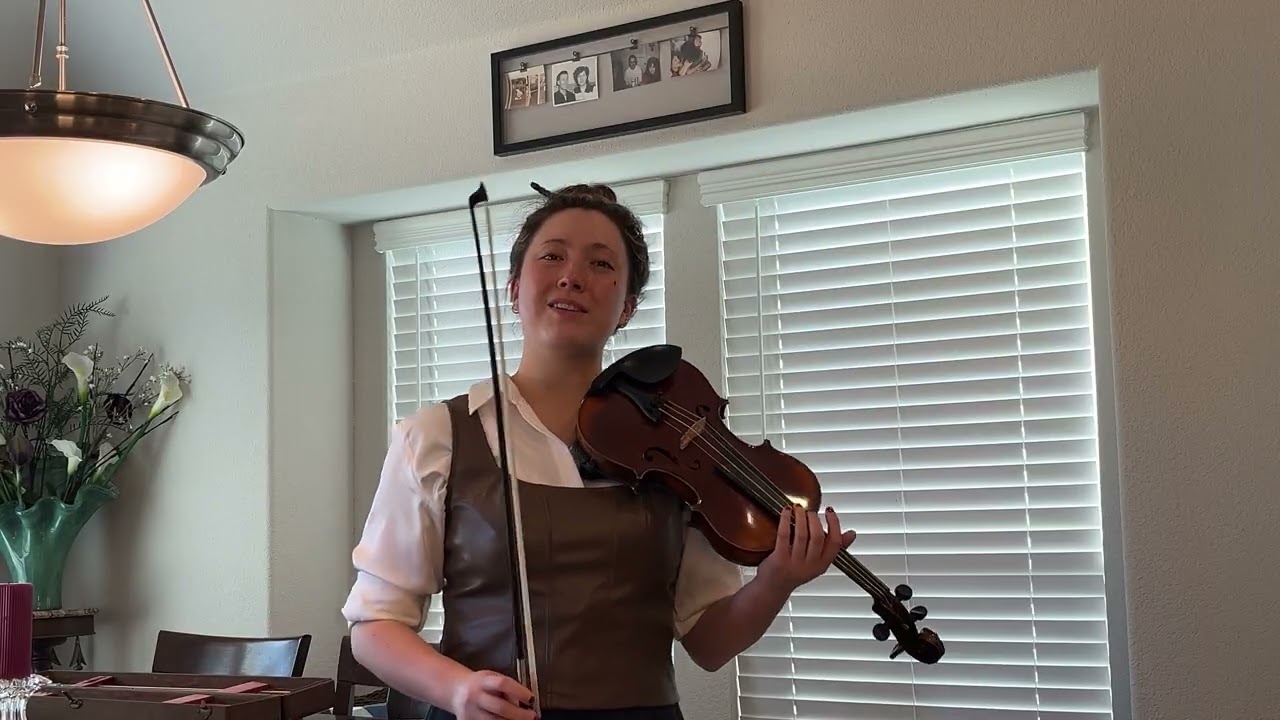 French Labeled H. Denis Starter to Intermediate violin 4/4 Full size