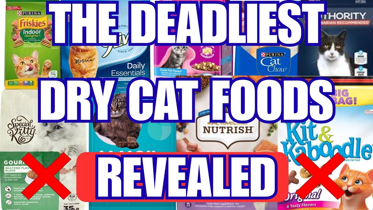 12 Worst CAT FOOD Brands to Buy in 2026 (Ranked Bad to Catastrophic!)