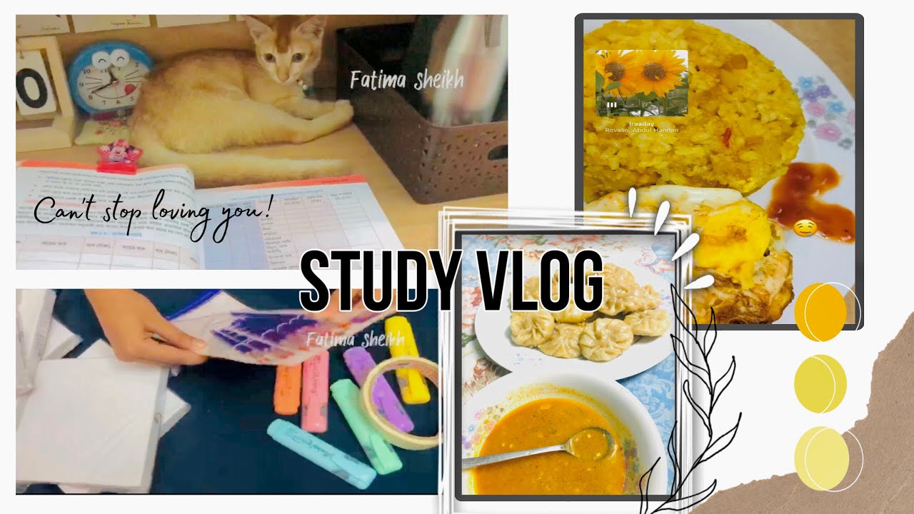 Study vlog | Mini vlog | Study blogger | ✨