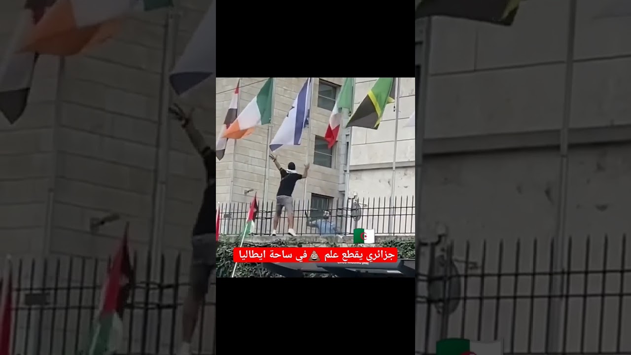 جزائر مع فلسطين ضالمة او مضلومة 🇩🇿🇵🇸💪🏻