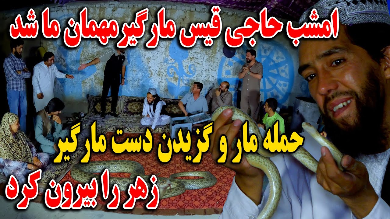 امشب حاجی قیس مارگیر مهمان ما شد - حمله مار و گزیدن دست مارگیر - زهر را بیرون کرد