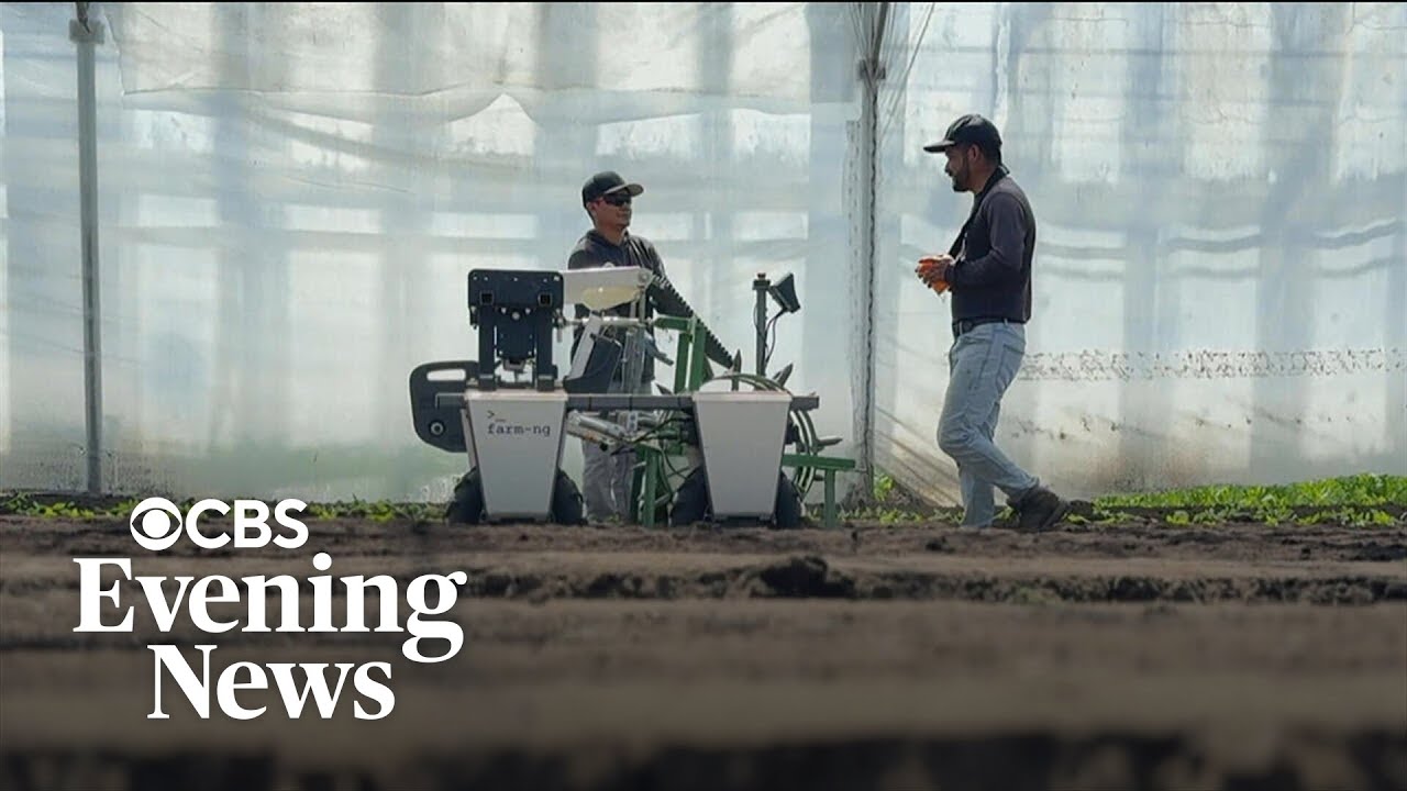 Farmers look to robots for field work as immigration raids upend labor