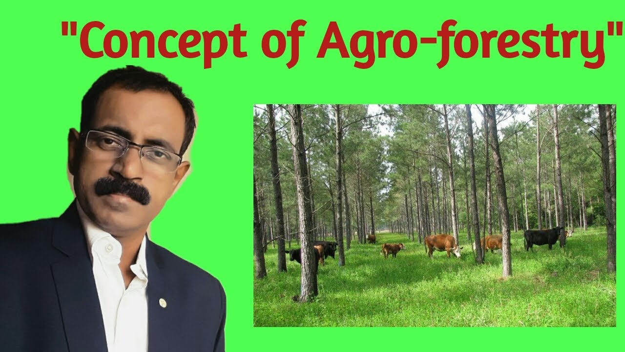 Concept of Agro-forestry