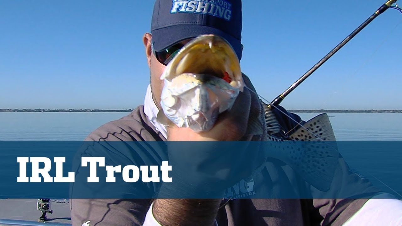 Indian River Trout - Florida Sport Fishing TV - Awesome Action Over Grass Beds