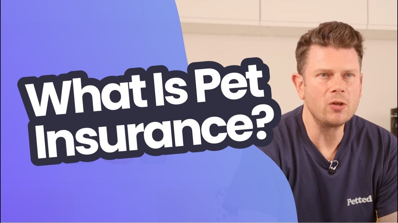 What does lifetime mean on pet insurance?