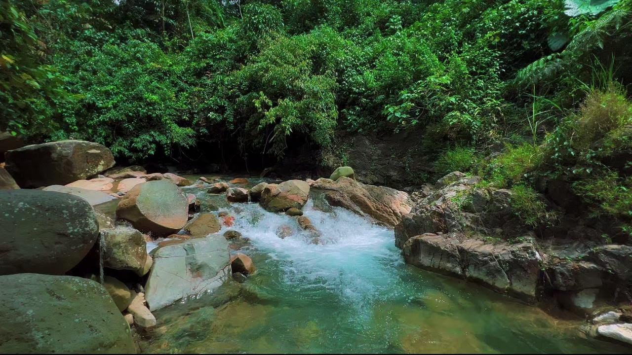 Deep Sleep River Soundscape with Natural Water Flow | Stress Relief Ambience for Insomnia | 4K-HDR