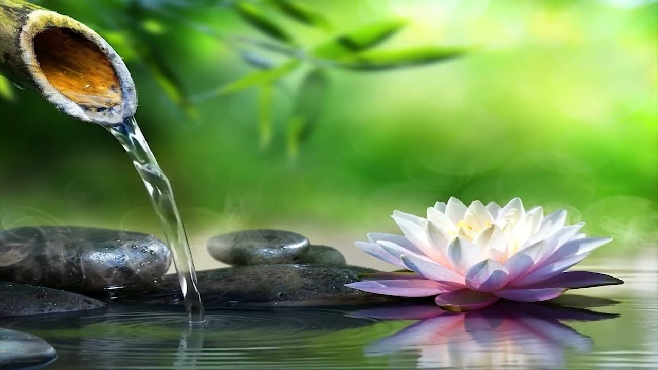 No Ads Relaxing Music For Sleeping ~Deep sleep music, Calming for sleep Stress relief, Meditation...