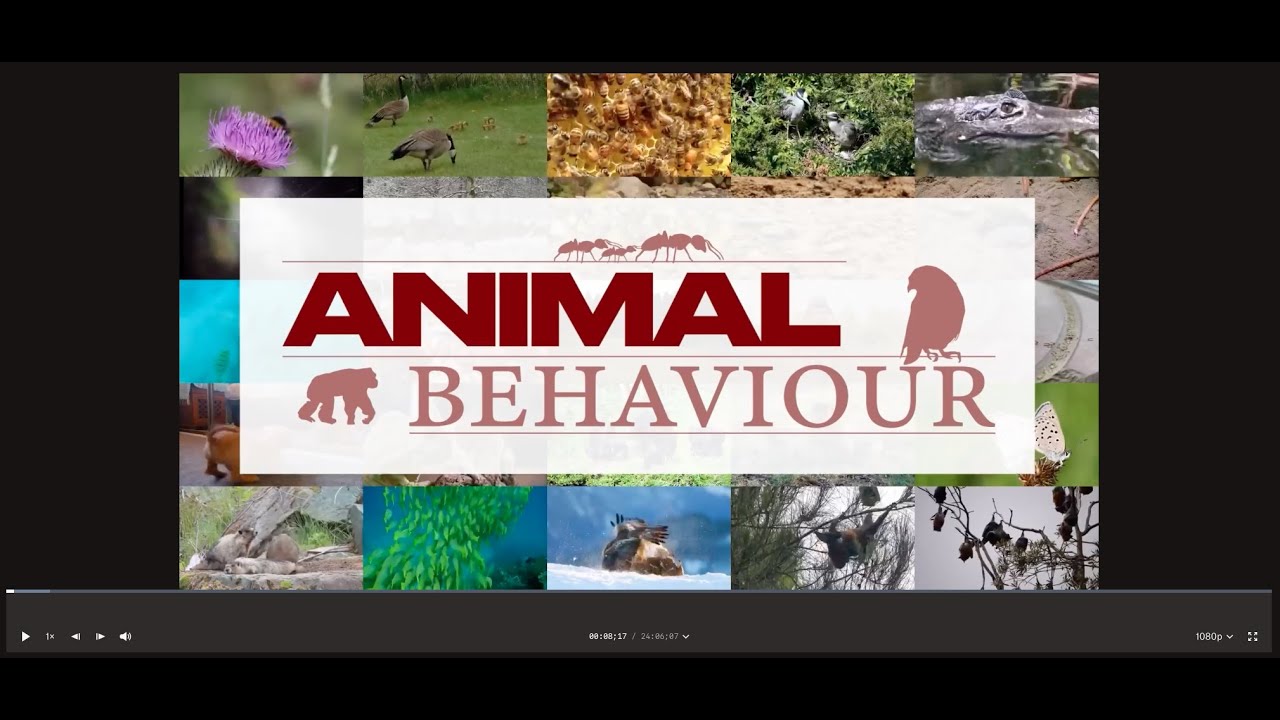 Animal Behavior Series Ep8 - Parental Care