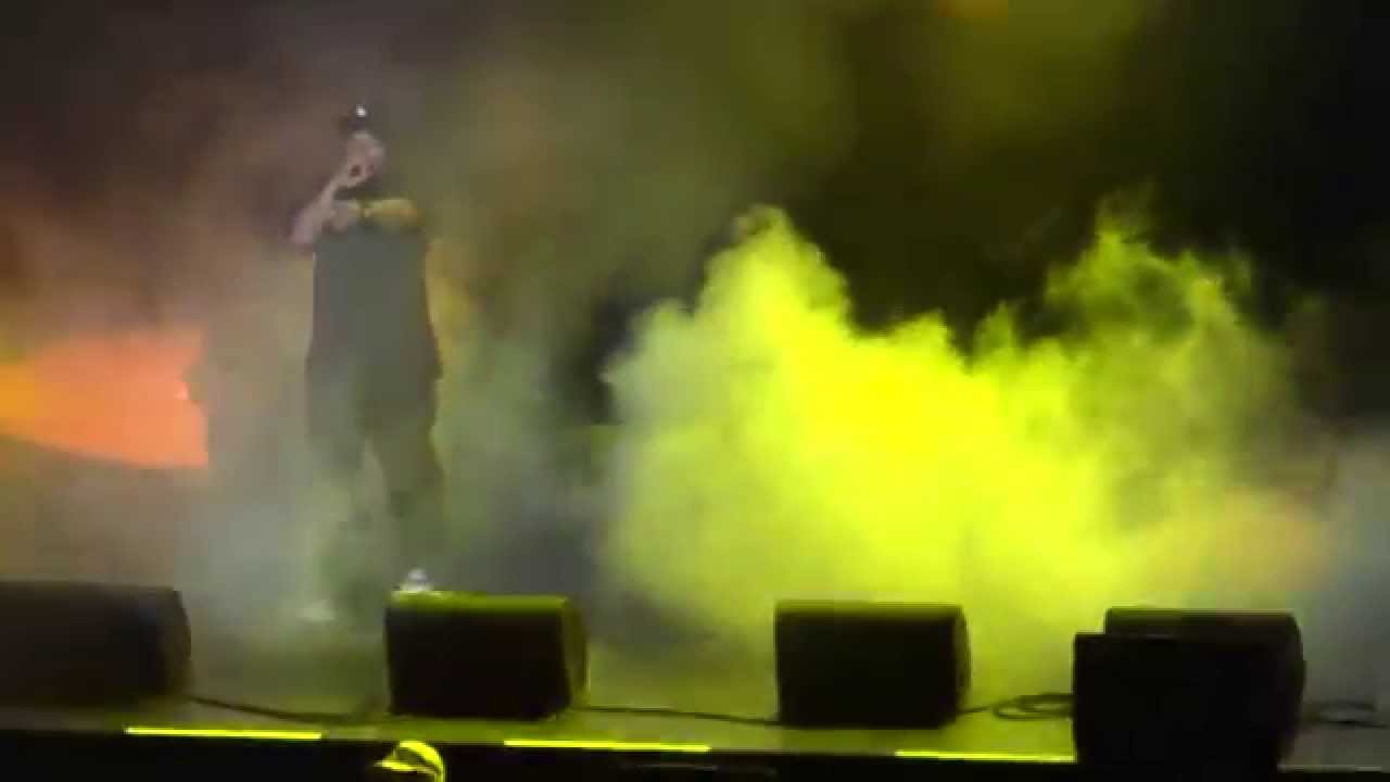How The West Was Won concert (Ice Cube & WC- Check Yo Self)
