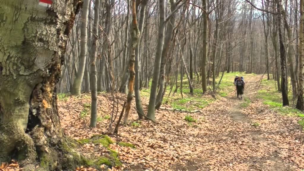 Hažlin Zborovský hrad