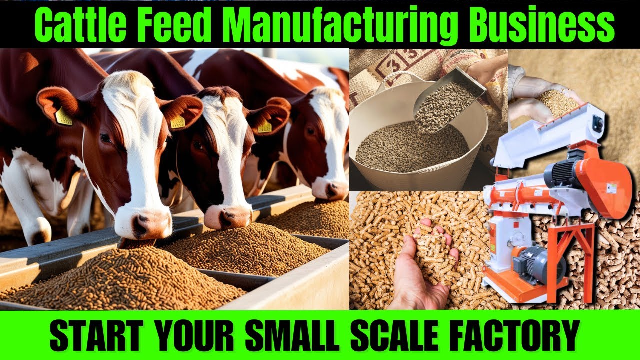 How to Start a Cattle Feed Manufacturing Business &ndash; Step-by-Step Guide 2025