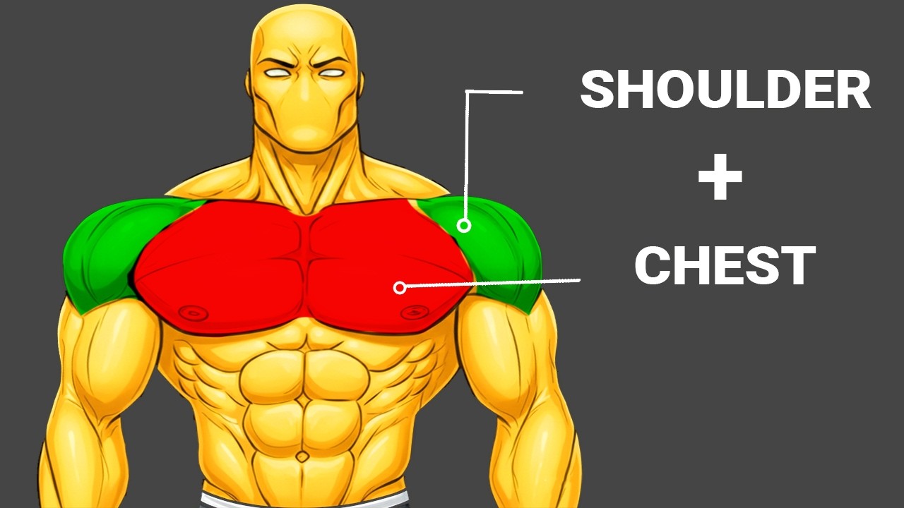 Top Chest & Shoulders workouts (most effective)