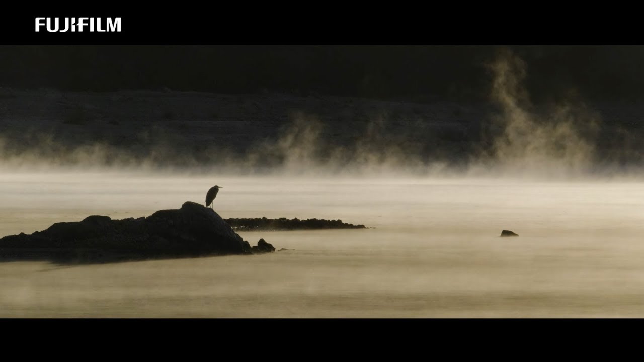 X-H1: Kiko Arcas & Alberto Saiz x Wildlife -Proud of- / FUJIFILM