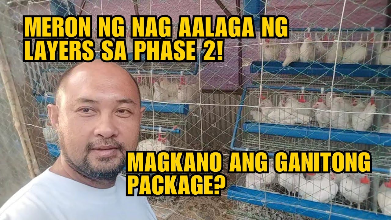MERON NG NAG ALAGA NG LAYERS SA PHASE 2!