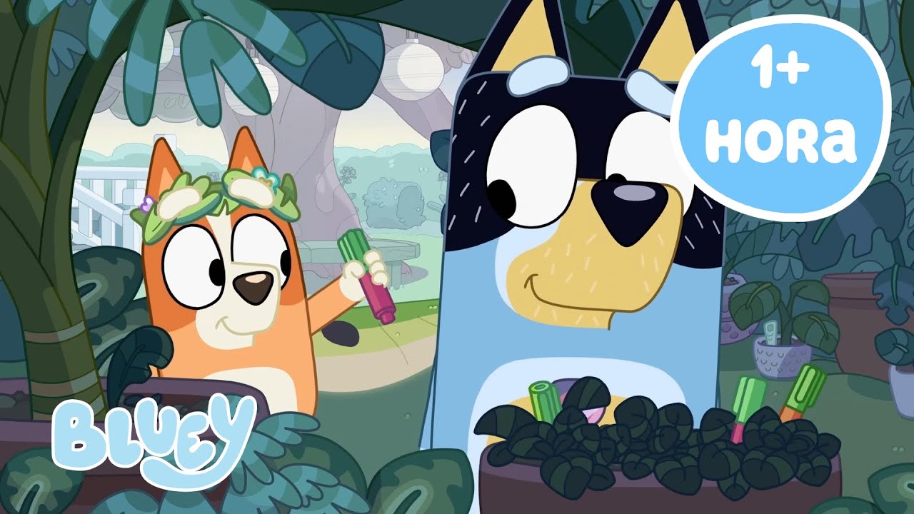 🔴EN VIVO: Ambiente acogedor con Bluey | Bluey