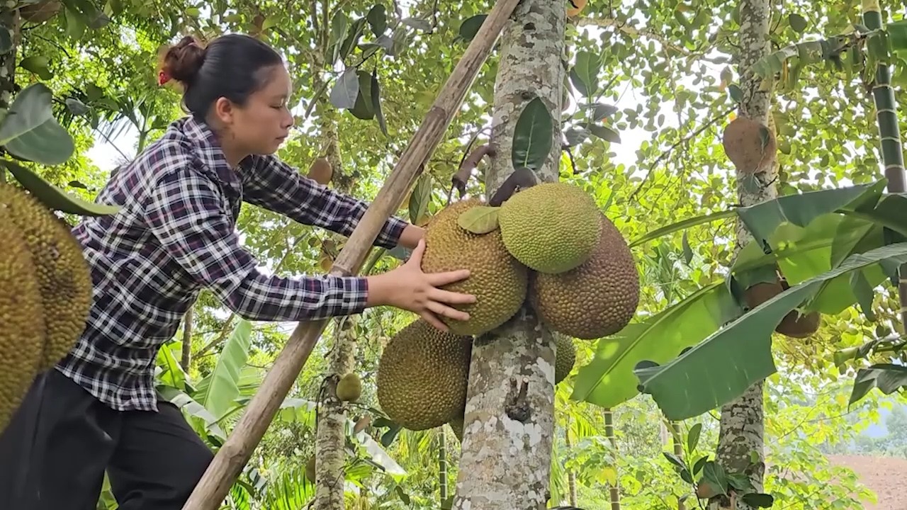 Single Mom Picking Wild Vegetables | A Careless Moment Leads to Her Child Lost in the Deep Forest
