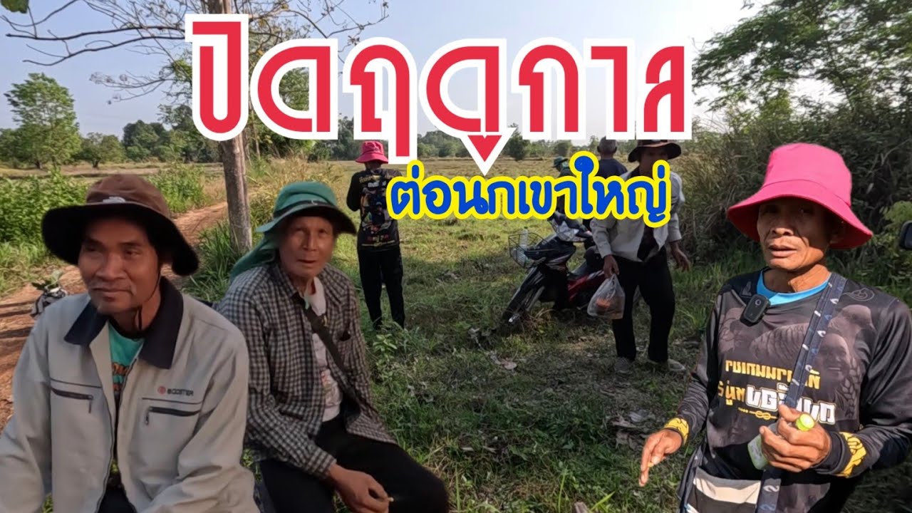 ปิดฤดูกาล…ต่อนกเขาใหญ่ จ.อุดรธานี