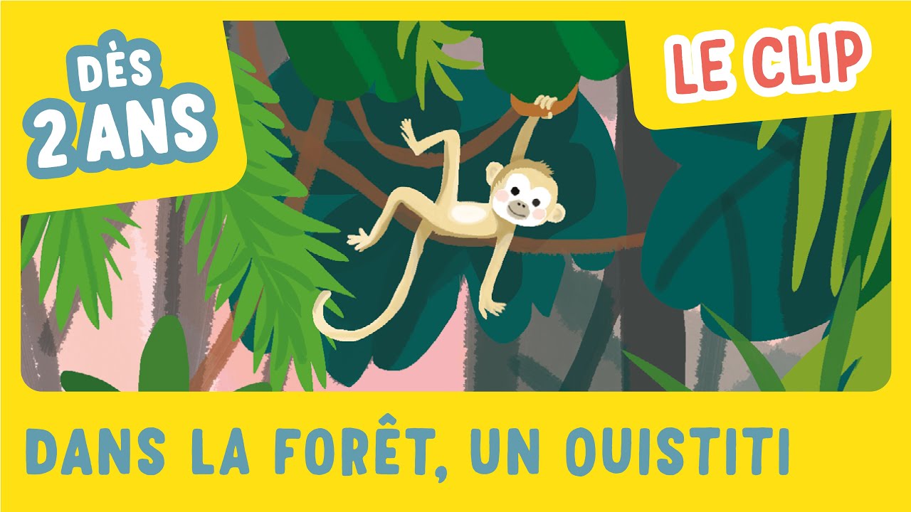 Dans la forêt un Ouistiti le clip ! Mon imagier des comptines de la maternelle - Gallimard Jeunesse