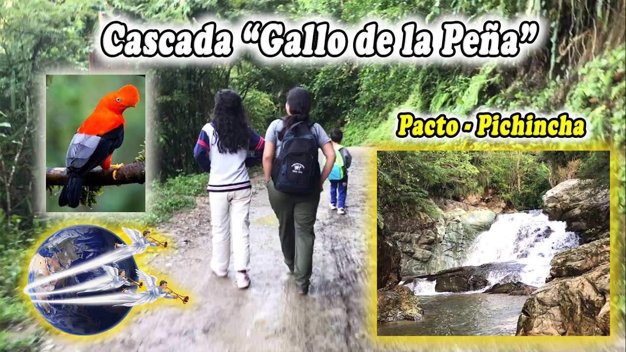 Cascada Gallo de la Peña | Pacto Turismo | 