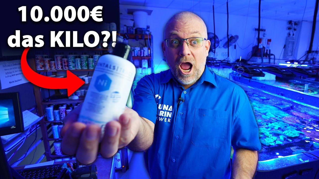 MEERWASSERPRODUKTE: Warum sind sie so teuer?
